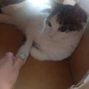 ヒメ日記 2026/08/27 13:03 投稿 篠原 MadameRest(マダムレスト)