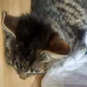 ヒメ日記 2026/10/14 11:25 投稿 篠原 MadameRest(マダムレスト)