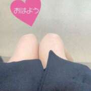 ヒメ日記 2025/01/28 09:30 投稿 れいな モアグループ南越谷人妻花壇