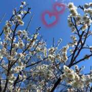 ヒメ日記 2025/03/26 09:33 投稿 れいな モアグループ南越谷人妻花壇