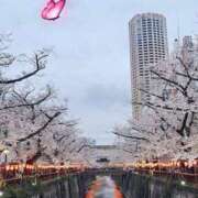 ヒメ日記 2025/04/02 10:18 投稿 れいな モアグループ南越谷人妻花壇