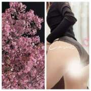 ヒメ日記 2025/04/15 21:48 投稿 れいな モアグループ南越谷人妻花壇