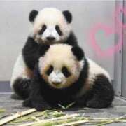 ヒメ日記 2025/12/23 08:48 投稿 れいな モアグループ南越谷人妻花壇