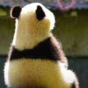 ヒメ日記 2026/01/28 09:18 投稿 れいな モアグループ南越谷人妻花壇