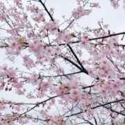 ヒメ日記 2026/02/27 08:48 投稿 れいな モアグループ南越谷人妻花壇