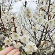 ヒメ日記 2026/03/01 08:57 投稿 れいな モアグループ南越谷人妻花壇