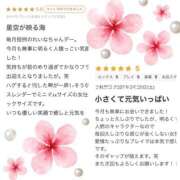 ヒメ日記 2026/03/31 23:18 投稿 れいな モアグループ南越谷人妻花壇