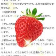 ヒメ日記 2026/04/26 22:18 投稿 れいな モアグループ南越谷人妻花壇