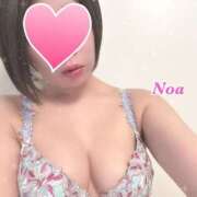 ヒメ日記 2025/04/19 08:10 投稿 のあ ぺろぺろベロベロ専科 ぺろんちょ