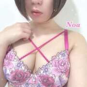 ヒメ日記 2025/04/24 12:55 投稿 のあ ぺろぺろベロベロ専科 ぺろんちょ