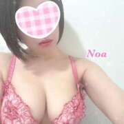 ヒメ日記 2025/04/30 08:05 投稿 のあ ぺろぺろベロベロ専科 ぺろんちょ