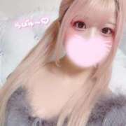 ヒメ日記 2024/12/30 20:38 投稿 みい プリコレ（PRINCESS COLLECTION）