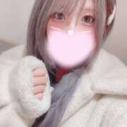 ヒメ日記 2025/01/21 00:01 投稿 みい プリコレ（PRINCESS COLLECTION）