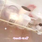 ヒメ日記 2025/01/28 00:15 投稿 みい プリコレ（PRINCESS COLLECTION）