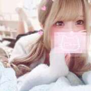 ヒメ日記 2025/02/08 00:30 投稿 みい プリコレ（PRINCESS COLLECTION）