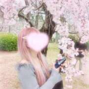 ヒメ日記 2025/04/09 16:38 投稿 みい プリコレ（PRINCESS COLLECTION）