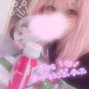 ヒメ日記 2025/04/25 15:12 投稿 みい プリコレ（PRINCESS COLLECTION）