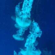 ヒメ日記 2025/08/14 20:01 投稿 ララ ナンバーゼロハチイチ