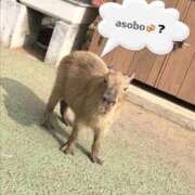 ヒメ日記 2025/09/12 20:01 投稿 ララ ナンバーゼロハチイチ