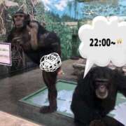 ヒメ日記 2025/10/11 20:15 投稿 ララ ナンバーゼロハチイチ