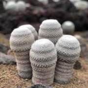 ヒメ日記 2025/10/25 20:15 投稿 ララ ナンバーゼロハチイチ