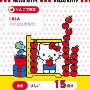 ララ HELLO ナンバーゼロハチイチ