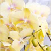 ララ 🎉🎉🎉 ナンバーゼロハチイチ