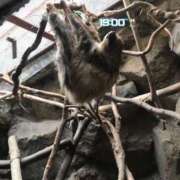 ヒメ日記 2025/12/19 19:15 投稿 ララ ナンバーゼロハチイチ