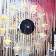 ララ 100 ナンバーゼロハチイチ