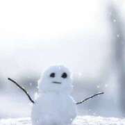 ヒメ日記 2026/02/07 19:15 投稿 ララ ナンバーゼロハチイチ