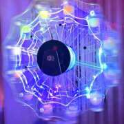 ヒメ日記 2026/02/20 19:15 投稿 ララ ナンバーゼロハチイチ