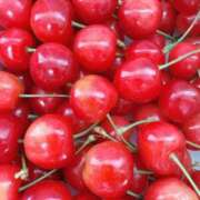 ヒメ日記 2025/06/19 11:26 投稿 水野 まき ベストマダム