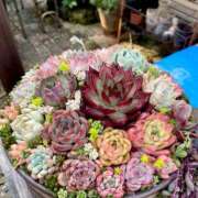 ヒメ日記 2025/07/03 09:52 投稿 水野 まき ベストマダム