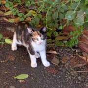 ヒメ日記 2025/07/17 17:57 投稿 水野 まき ベストマダム