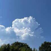 ヒメ日記 2025/07/30 10:04 投稿 水野 まき ベストマダム