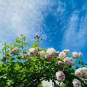 ヒメ日記 2025/09/06 08:53 投稿 水野 まき ベストマダム