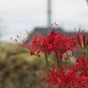 ヒメ日記 2025/09/24 22:00 投稿 水野 まき ベストマダム