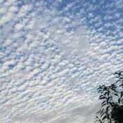 ヒメ日記 2025/09/26 20:14 投稿 水野 まき ベストマダム