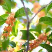 ヒメ日記 2025/10/30 10:24 投稿 水野 まき ベストマダム