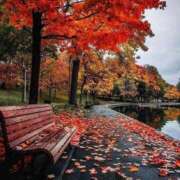 ヒメ日記 2025/11/09 07:52 投稿 水野 まき ベストマダム