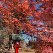 ヒメ日記 2025/11/15 10:18 投稿 水野 まき ベストマダム