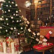 ヒメ日記 2025/11/16 09:28 投稿 水野 まき ベストマダム