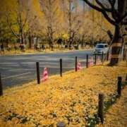 ヒメ日記 2025/11/26 15:26 投稿 水野 まき ベストマダム