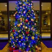 ヒメ日記 2025/12/04 12:36 投稿 水野 まき ベストマダム