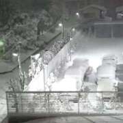 ヒメ日記 2026/01/03 07:32 投稿 水野 まき ベストマダム