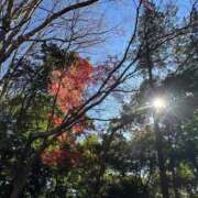 ヒメ日記 2026/01/13 09:16 投稿 水野 まき ベストマダム