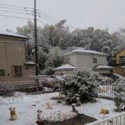 ヒメ日記 2026/02/08 09:42 投稿 水野 まき ベストマダム