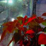 ヒメ日記 2026/02/11 10:35 投稿 水野 まき ベストマダム