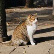 ヒメ日記 2026/02/22 14:11 投稿 水野 まき ベストマダム