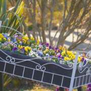 ヒメ日記 2026/02/27 09:20 投稿 水野 まき ベストマダム